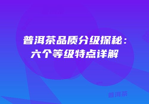 普洱茶品质分级探秘：六个等级特点详解