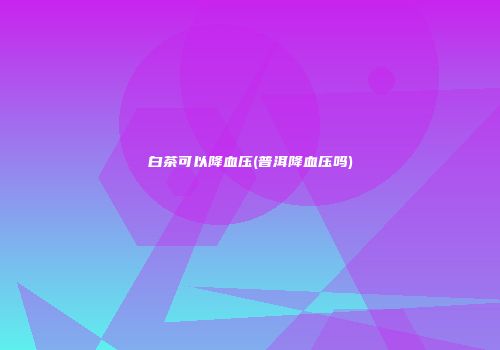 白茶可以降血压(普洱降血压吗)