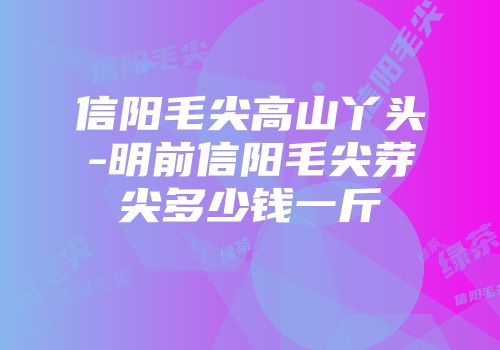 信阳毛尖高山丫头-明前信阳毛尖芽尖多少钱一斤