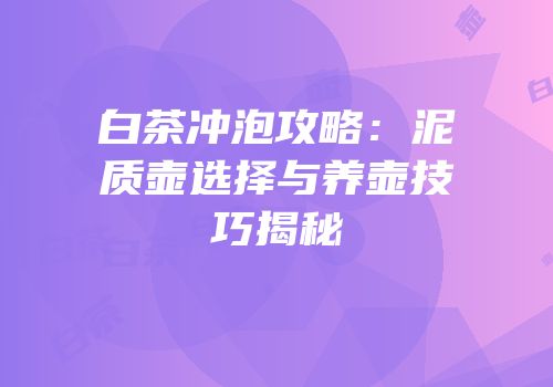 白茶冲泡攻略：泥质壶选择与养壶技巧揭秘