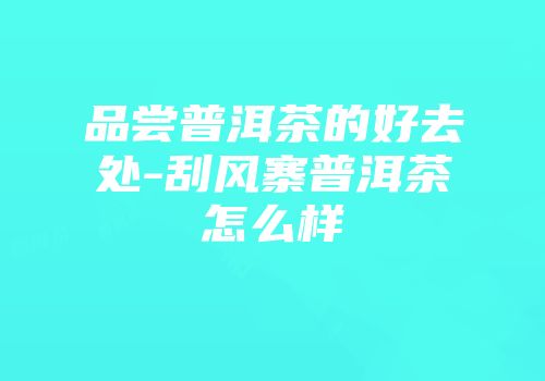 品尝普洱茶的好去处-刮风寨普洱茶怎么样