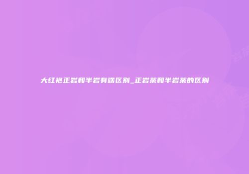 大红袍正岩和半岩有啥区别_正岩茶和半岩茶的区别