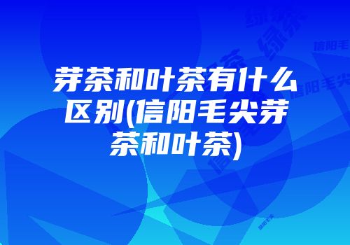 芽茶和叶茶有什么区别(信阳毛尖芽茶和叶茶)