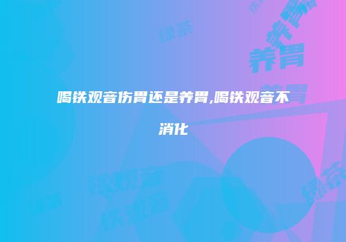 喝铁观音伤胃还是养胃,喝铁观音不消化