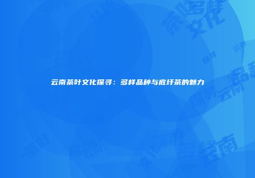 云南茶叶文化探寻：多样品种与底圩茶的魅力