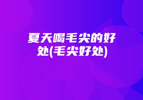 夏天喝毛尖的好处(毛尖好处)
