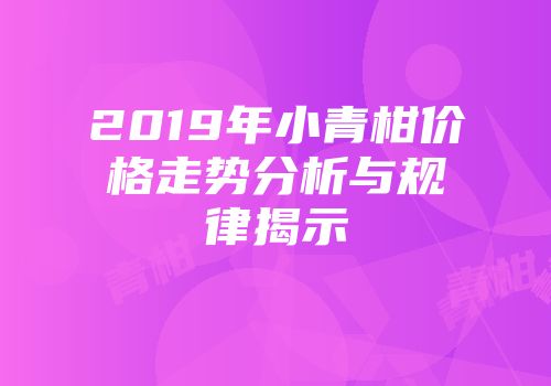2019年小青柑价格走势分析与规律揭示