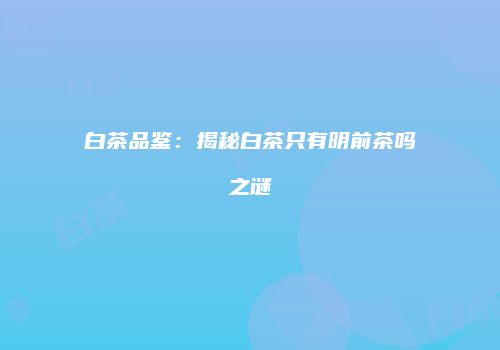 白茶品鉴：揭秘白茶只有明前茶吗之谜