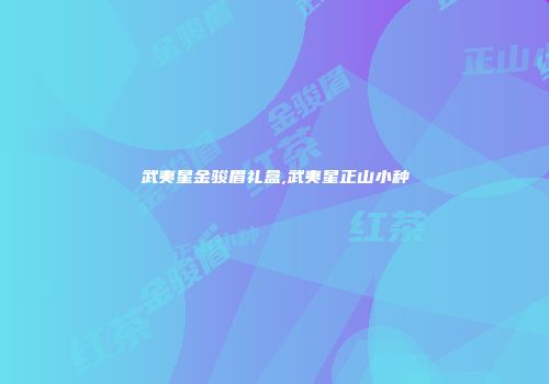 武夷星金骏眉礼盒,武夷星正山小种