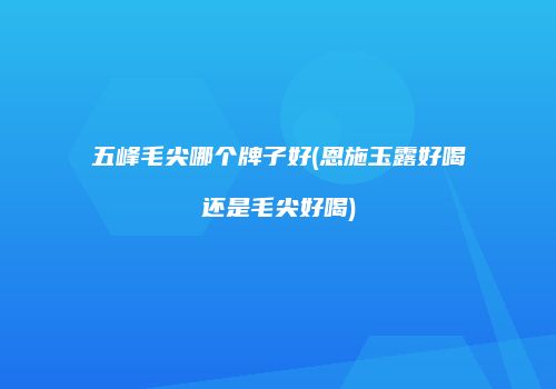 五峰毛尖哪个牌子好(恩施玉露好喝还是毛尖好喝)