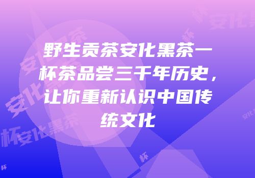 野生贡茶安化黑茶一杯茶品尝三千年历史，让你重新认识中国传统文化