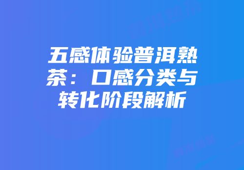 五感体验普洱熟茶：口感分类与转化阶段解析