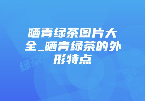 晒青绿茶图片大全_晒青绿茶的外形特点