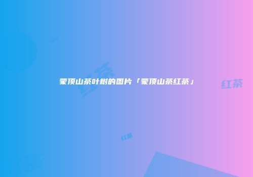 蒙顶山茶叶树的图片「蒙顶山茶红茶」