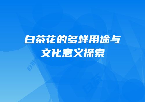 白茶花的多样用途与文化意义探索