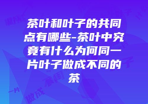 茶叶和叶子的共同点有哪些-茶叶中究竟有什么为何同一片叶子做成不同的茶