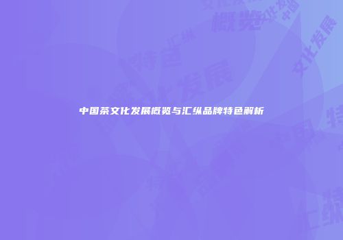 中国茶文化发展概览与汇纵品牌特色解析