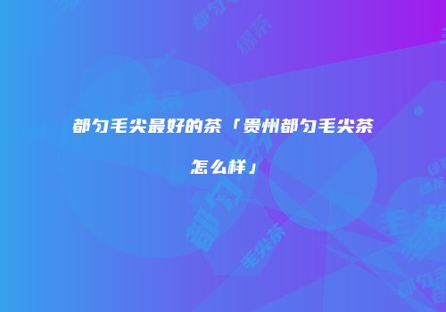 都匀毛尖最好的茶「贵州都匀毛尖茶怎么样」