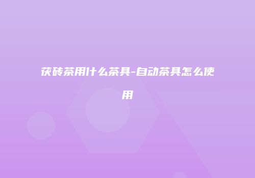 茯砖茶用什么茶具-自动茶具怎么使用