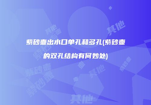紫砂壶出水口单孔和多孔(紫砂壶的双孔结构有何妙处)