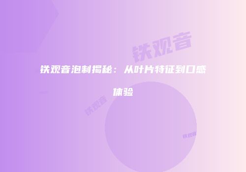 铁观音泡制揭秘：从叶片特征到口感体验