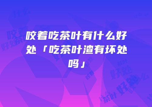 咬着吃茶叶有什么好处「吃茶叶渣有坏处吗」