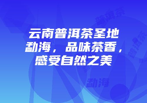 云南普洱茶圣地勐海，品味茶香，感受自然之美