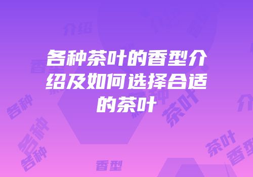 各种茶叶的香型介绍及如何选择合适的茶叶