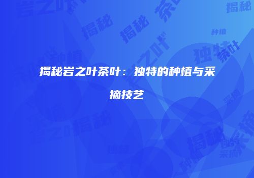 揭秘岩之叶茶叶：独特的种植与采摘技艺