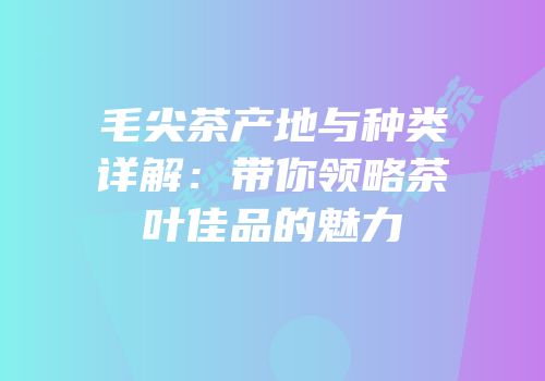 毛尖茶产地与种类详解：带你领略茶叶佳品的魅力