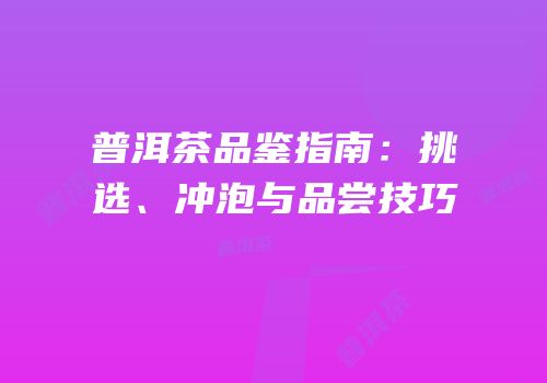 普洱茶品鉴指南：挑选、冲泡与品尝技巧