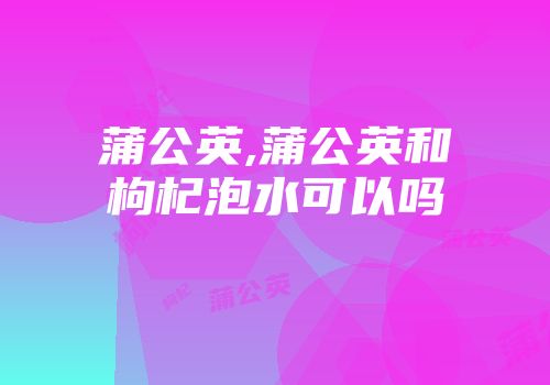 蒲公英,蒲公英和枸杞泡水可以吗