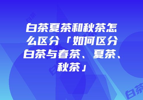 白茶夏茶和秋茶怎么区分「如何区分白茶与春茶、夏茶、秋茶」