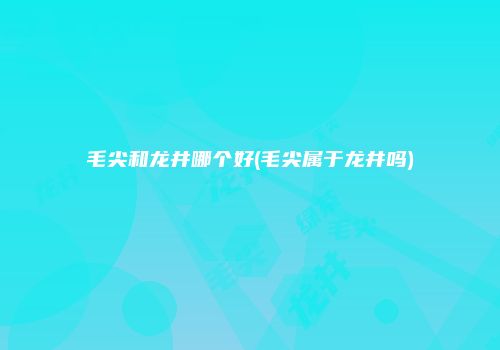 毛尖和龙井哪个好(毛尖属于龙井吗)