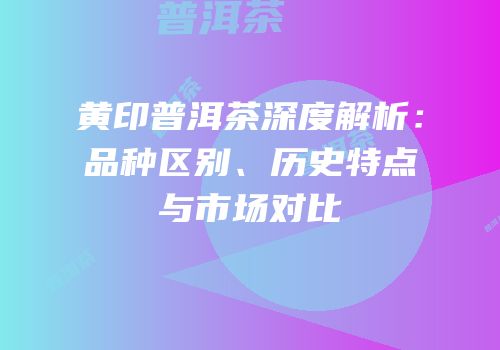黄印普洱茶深度解析：品种区别、历史特点与市场对比