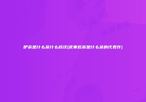 酽茶是什么茶什么档次(武夷岩茶是什么茶的代表作)