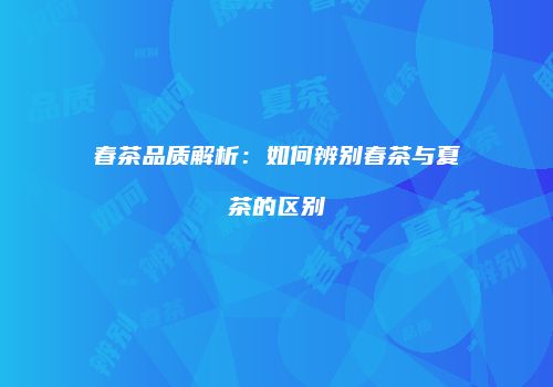 春茶品质解析：如何辨别春茶与夏茶的区别