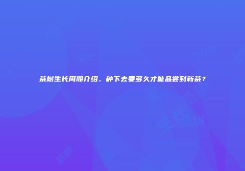 茶树生长周期介绍，种下去要多久才能品尝到新茶？