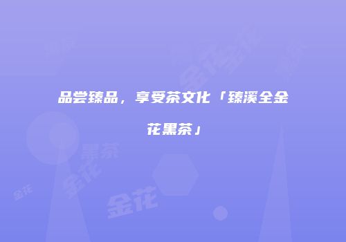 品尝臻品，享受茶文化「臻溪全金花黑茶」