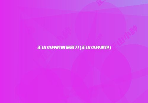 正山小种的由来简介(正山小种黑色)