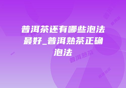 普洱茶还有哪些泡法最好_普洱熟茶正确泡法