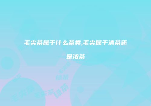 毛尖茶属于什么茶类,毛尖属于清茶还是浓茶