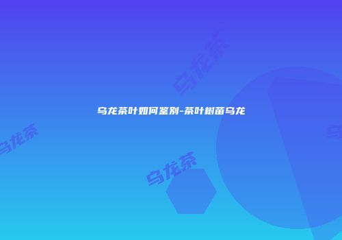 乌龙茶叶如何鉴别-茶叶树苗乌龙