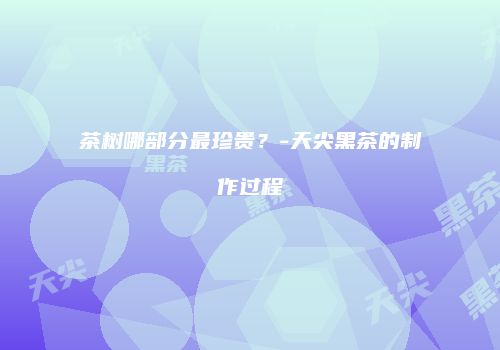 茶树哪部分最珍贵？-天尖黑茶的制作过程