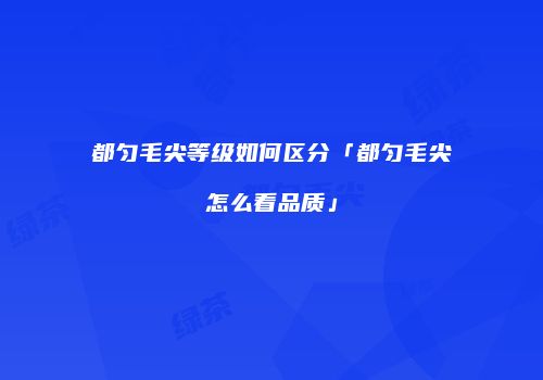都匀毛尖等级如何区分「都匀毛尖怎么看品质」