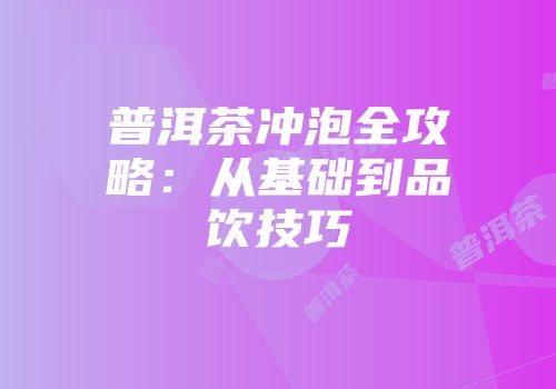 普洱茶冲泡全攻略：从基础到品饮技巧