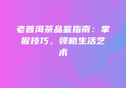 老普洱茶品鉴指南：掌握技巧，领略生活艺术