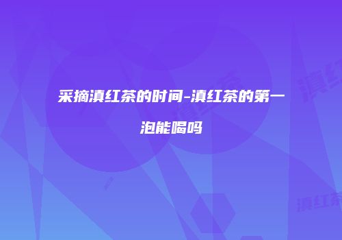 采摘滇红茶的时间-滇红茶的第一泡能喝吗