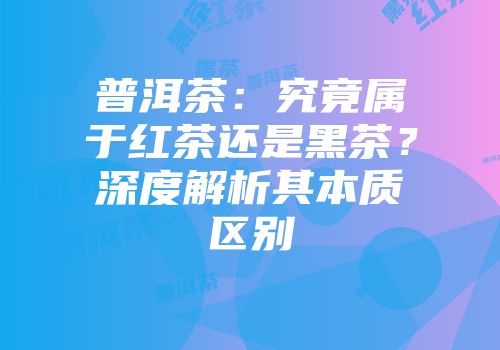 普洱茶：究竟属于红茶还是黑茶？深度解析其本质区别