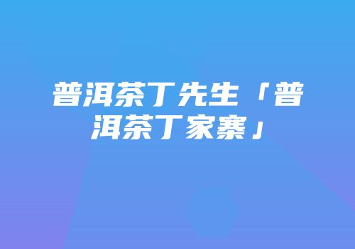 普洱茶丁先生「普洱茶丁家寨」